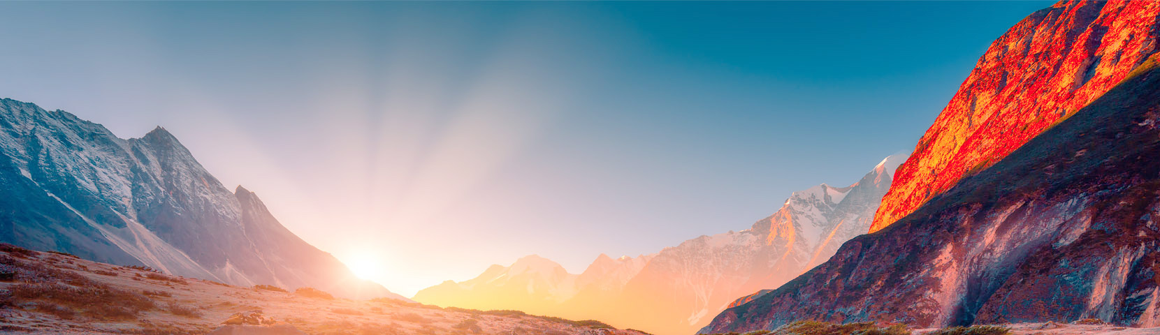 关于亚星管理平台